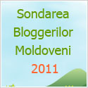 Sondarea Bloggerilor Moldoveni 2011